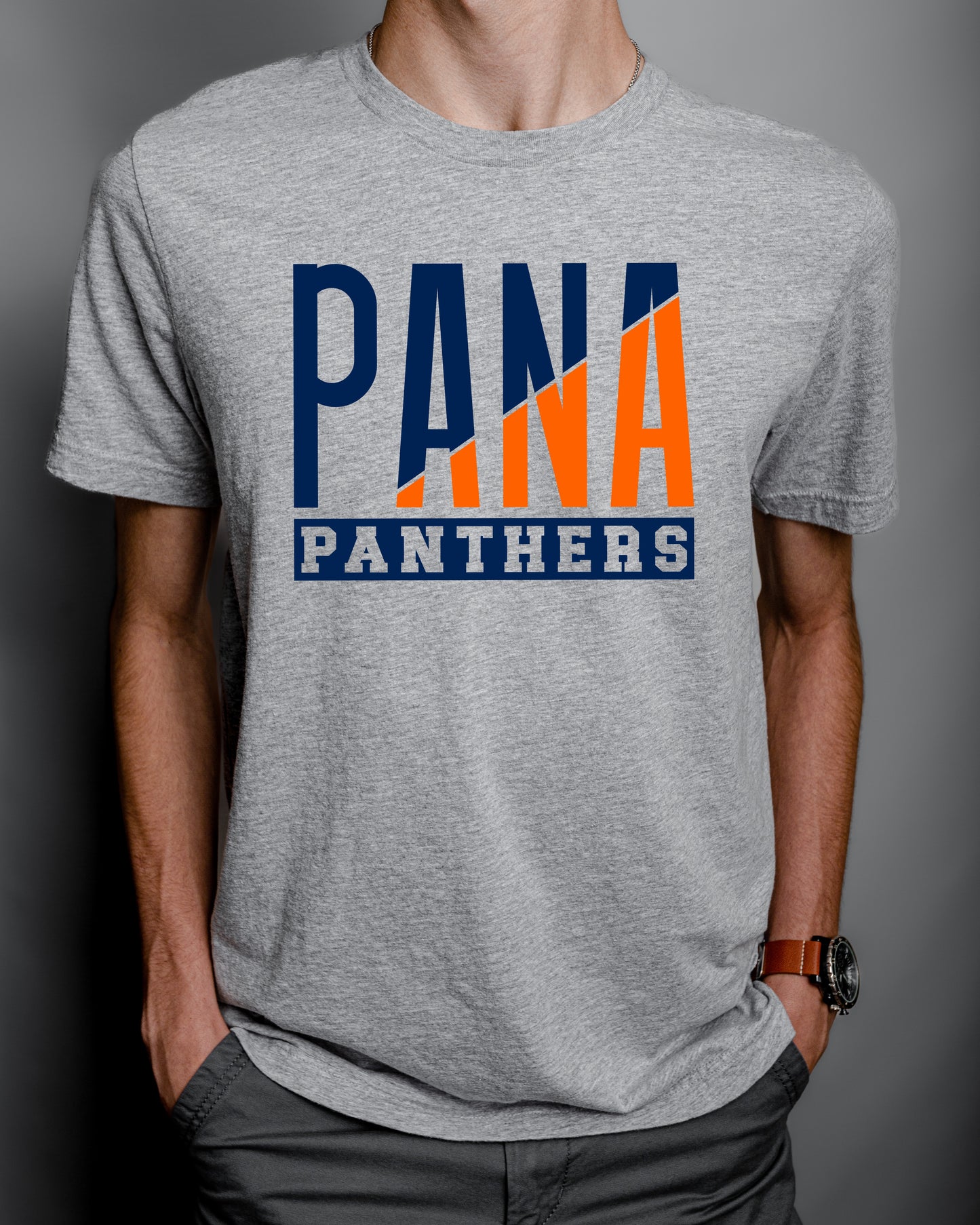 Pana Panthers DTF Transfer