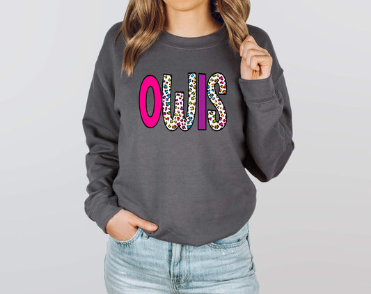 Owls Rainbow Leopard Graphic Tee